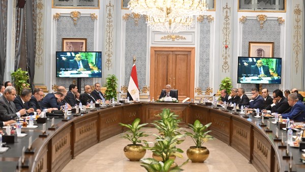اجتماع اللجنة الخاصة 