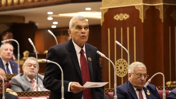  المستشار عصام الدين فريد