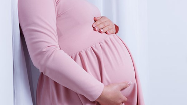 من القمح إلى الأرنب.. رحلة اكتشاف الحمل عبر العصور