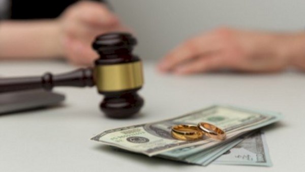 سابقة قانونية.. نفقة 240 دولار لقطتين بعد الطلاق سابقة قانونية.. نفقة 240 دولار لقطتين بعد الطلاق