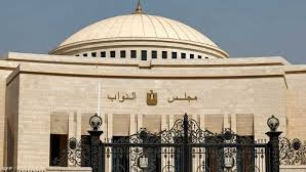 القضاء الإداري : الدفاع عن الوطن شرف ولا يصح لمن تخلف عن التجنيد تمثيل الأمة بمجلس النواب  