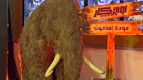 الاستعدادات النهائية ل فيلم أوسكار عودة الماموث 