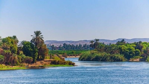 أرشيفية