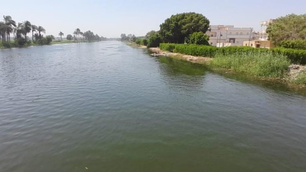 أرشيفية 