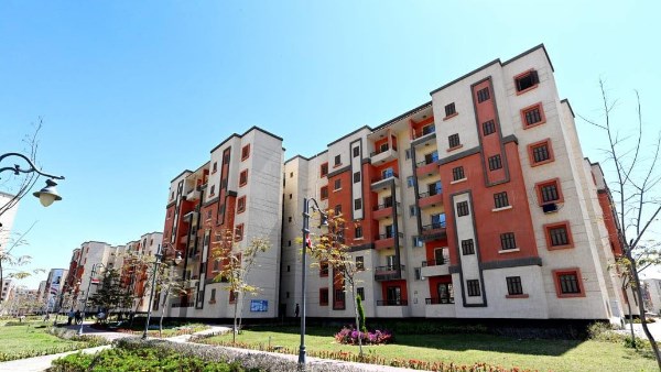 أرشيفية  أرشيفية