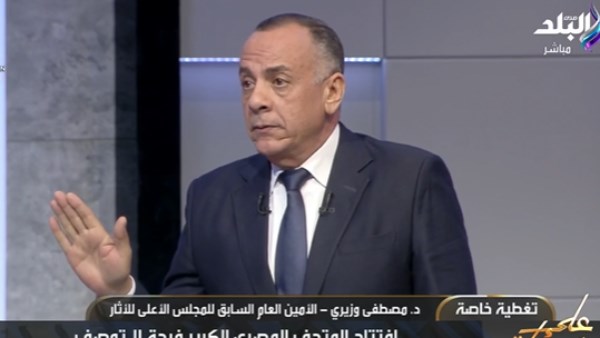 مصطفى وزيري 