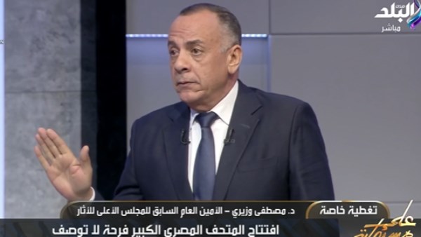 مصطفى وزيري 