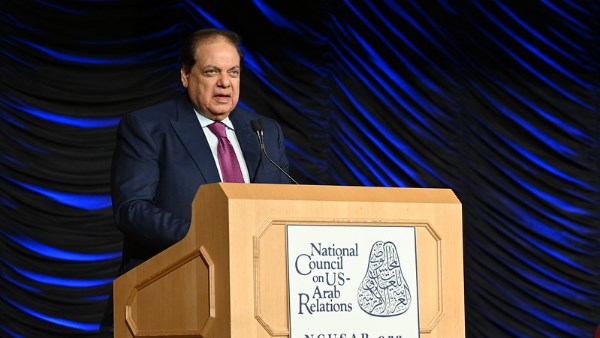 النائب محمد أبو العينين 