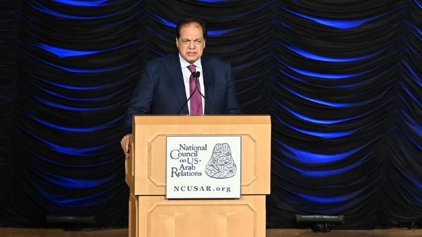 النائب محمد أبو العينين 