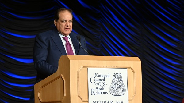 النائب محمد أبو العينين 