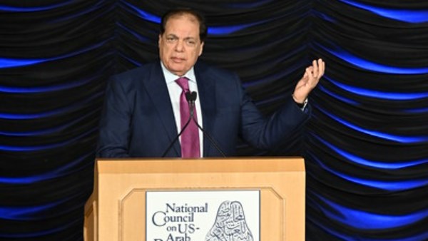 النائب محمد أبو العينين 