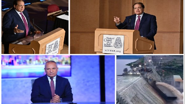 النائب محمد أبو العينين 