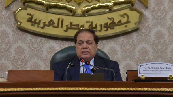 النائب محمد أبو العينين 