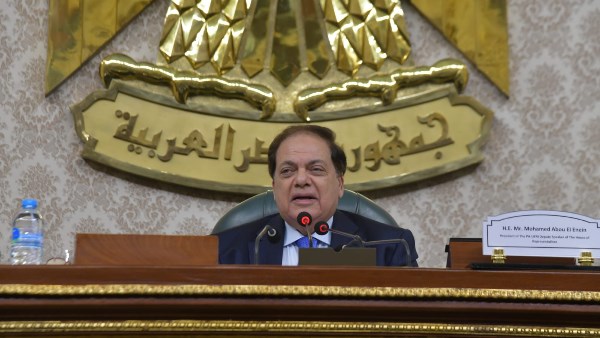 النائب محمد أبو العينين 