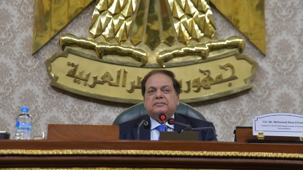 النائب محمد أبو العينين 