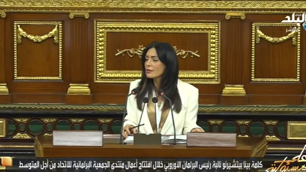 نائبة رئيسة البرلمان الأوروبي 