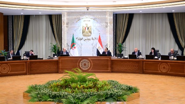 اللجنة العليا المصرية الجزائرية 