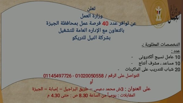 جانب من فرص العمل 