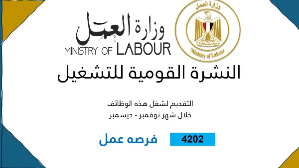 النشرة القومية للتوظيف 