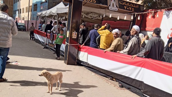 انتخابات مجلس النواب 