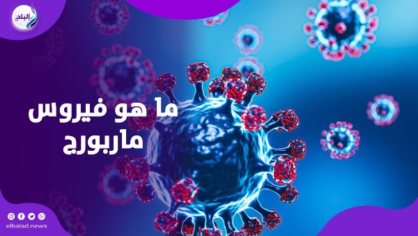 ما هو فيروس ماربورج