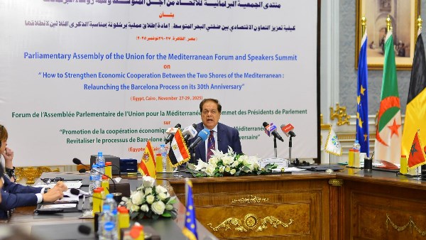 النائب محمد أبو العينين