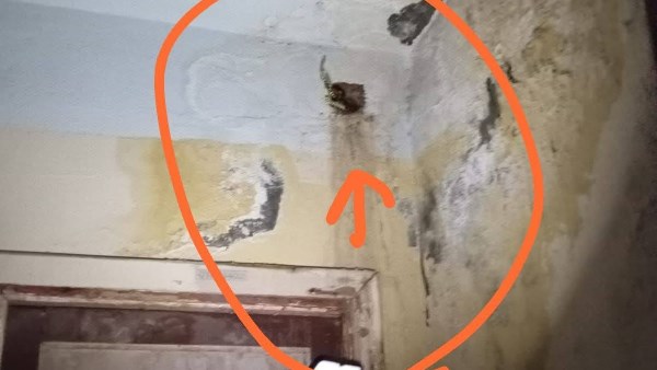 المياه تغرق جدران مدرسة بحلمية الزيتون