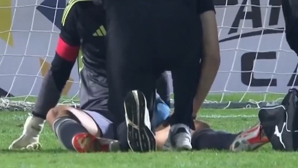 محمد الشناوي