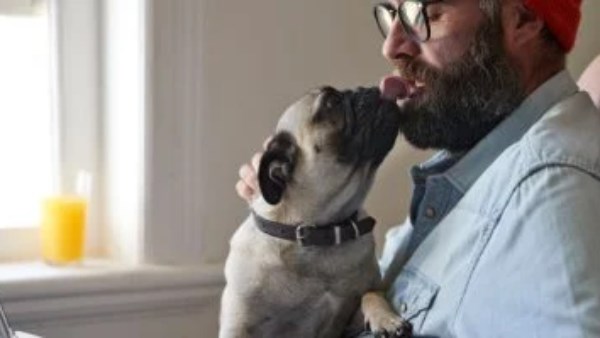 تجنب تقبيل حيوانك الأليف 