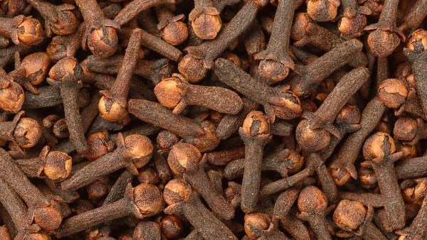 فوائد القرنفل