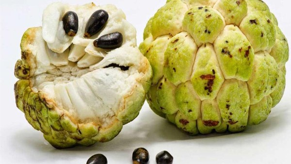 تحميك من السرطان..كنز صحى عند تناولك فاكهة القشطة