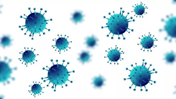 فيروس ماربوج..أعراضه و كيفية طرق نقله و الوقايه منه