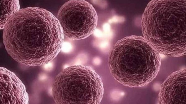 فيروس «ماربورج» إرشادات عامة للوقاية داخل المدرسة للوقاية