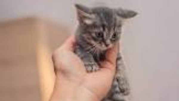 سبب لدخول النار