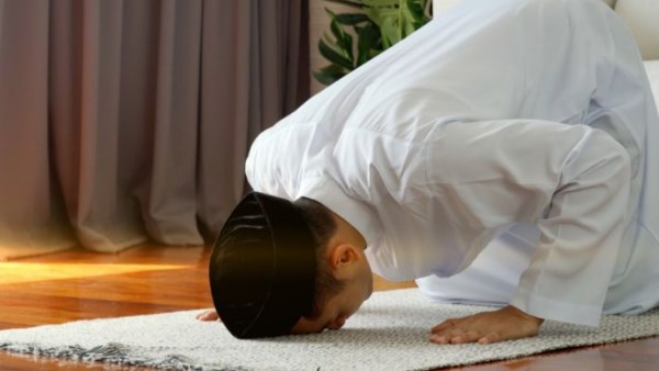 سجود التلاوة سجود التلاوة