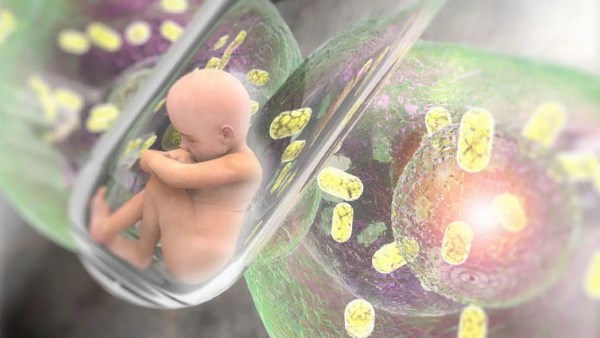 الاستنساخ البشرى