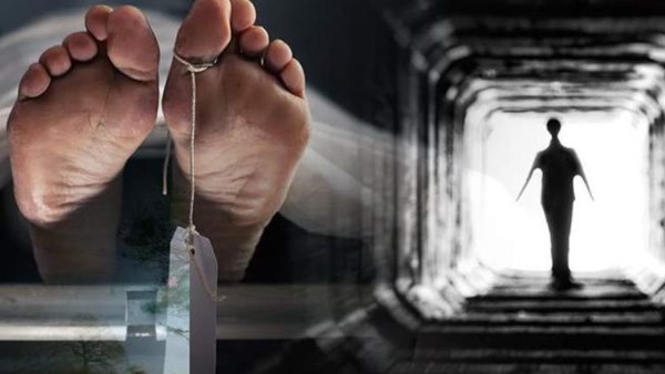 ما حكم الشماتة في الموت وعواقبها؟.. الإفتاء تجيب ما حكم الشماتة في الموت وعواقبها؟.. الإفتاء تجيب