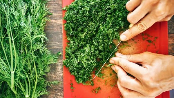 فوائد مذهلة للشبت عند إضافته للسلطة اليومية