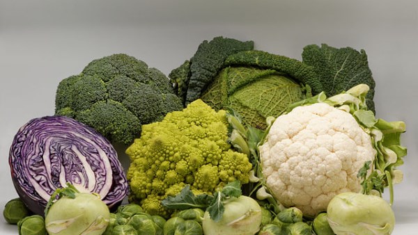 توابل تقلل الغازات الناتجة من الكرنب والقرنبيط