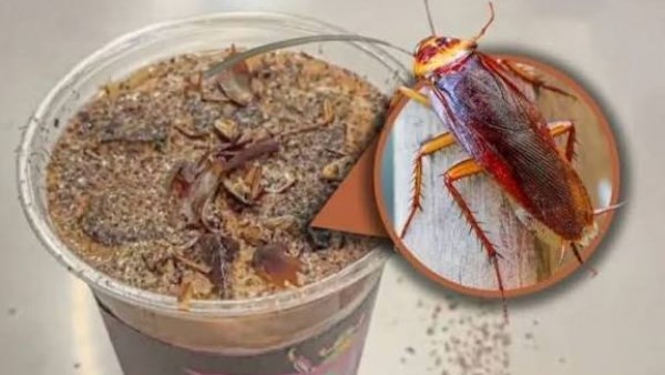 تفاصيل المشروبات الغريبة في المتحف