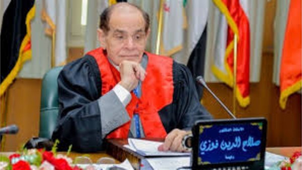 صلاح فوزي، أستاذ القانون الدستوري