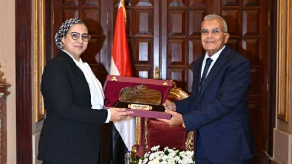 المستشار عصام فريد