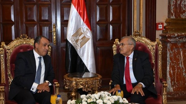  المستشار عصام فريد