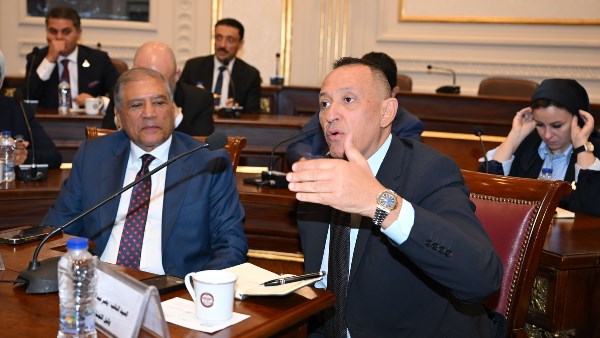 لجنة العلاقات الخارجية والعربية