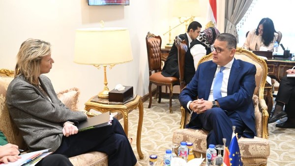 النائب طارق رضوان 