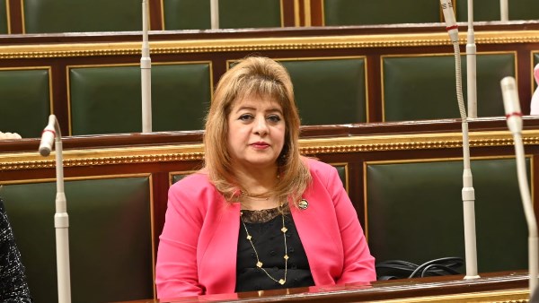 النائبة هناء أنيس