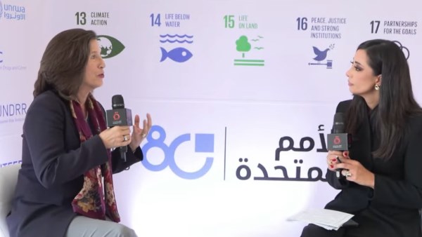 ميليسا فليمنج