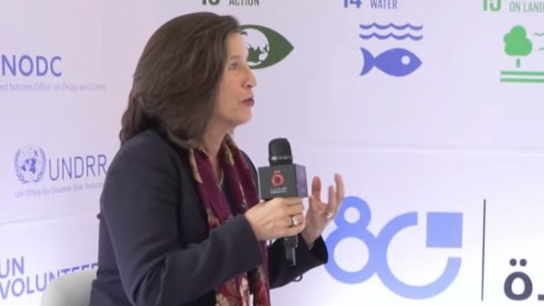 ميليسا فيلمنج