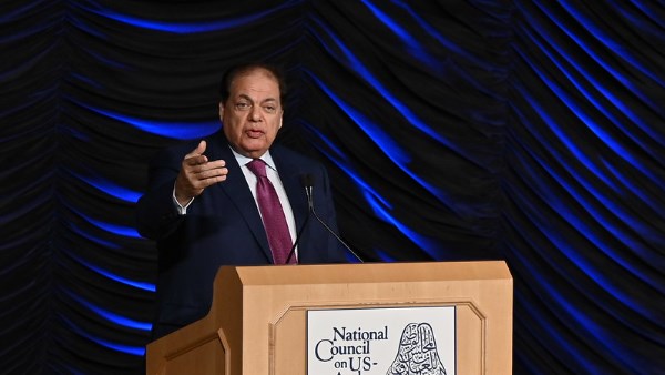 النائب محمد أبو العينين، وكيل مجلس النواب