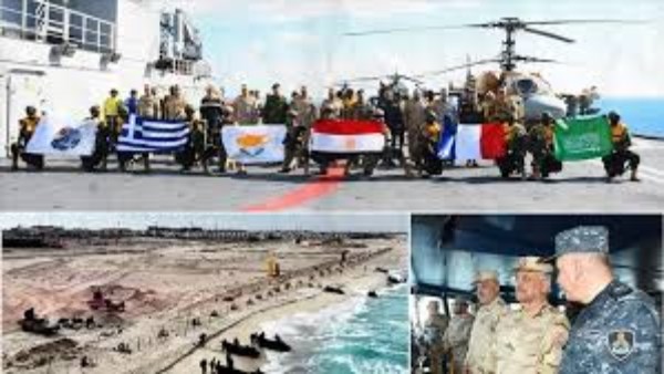 تدريب «ميدوزا - 14»